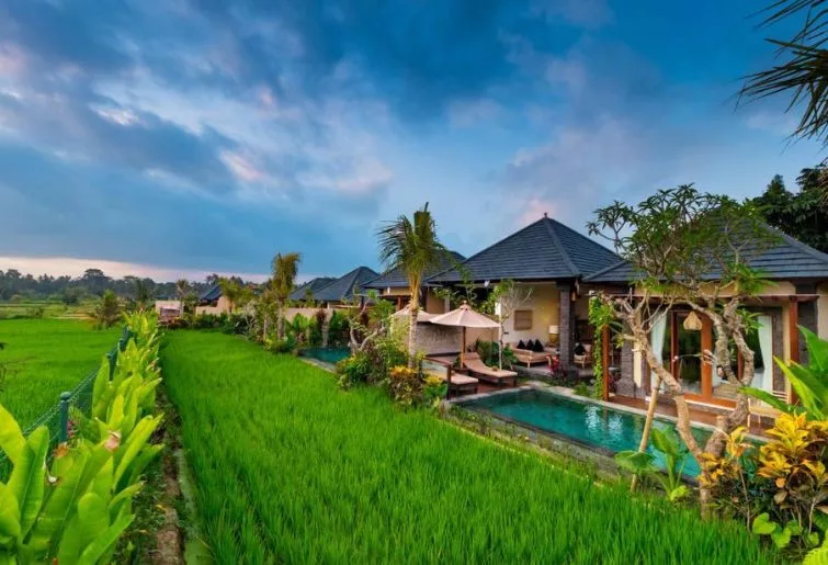 dining party bali-bliss ubud